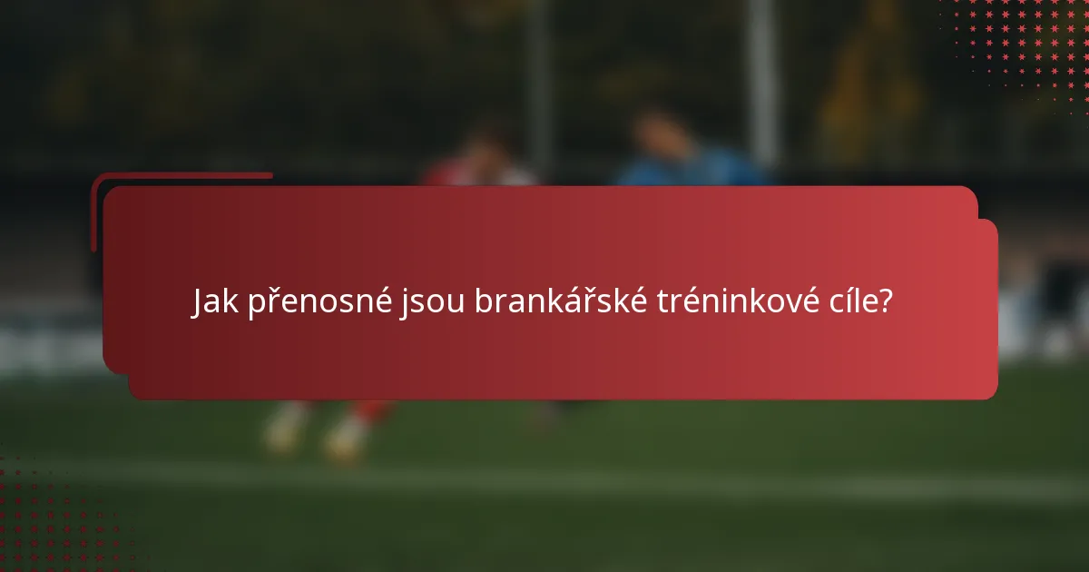 Jak přenosné jsou brankářské tréninkové cíle?