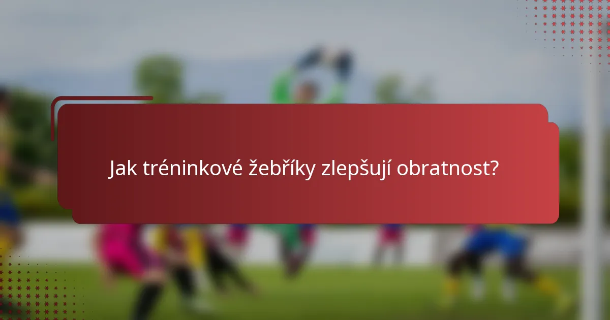 Jak tréninkové žebříky zlepšují obratnost?