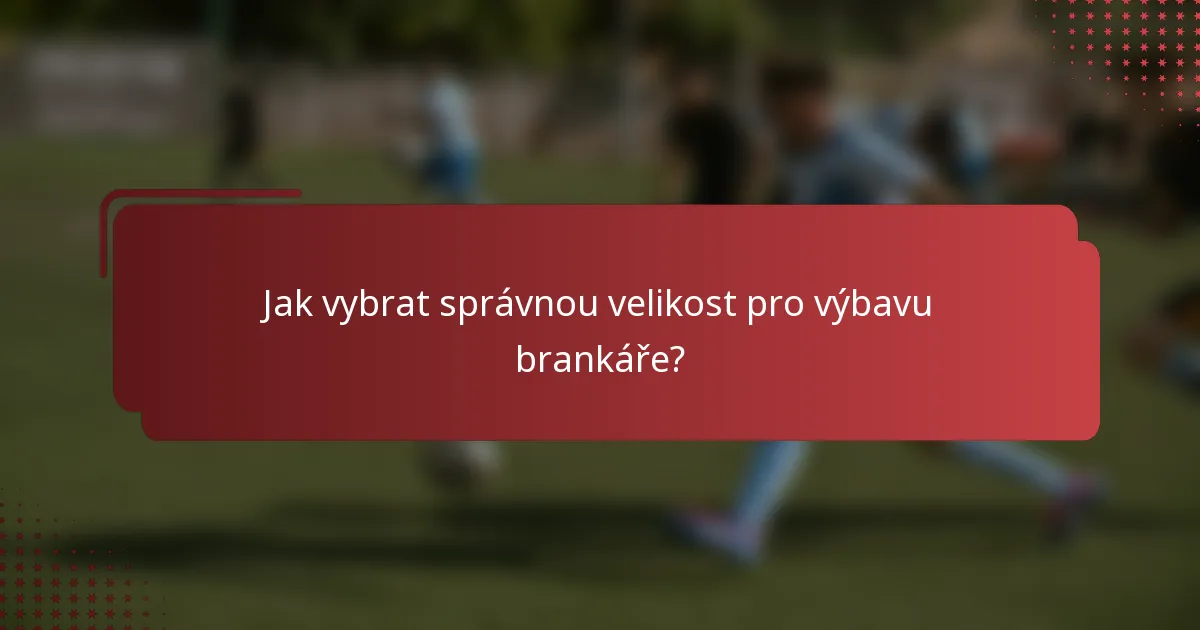 Jak vybrat správnou velikost pro výbavu brankáře?