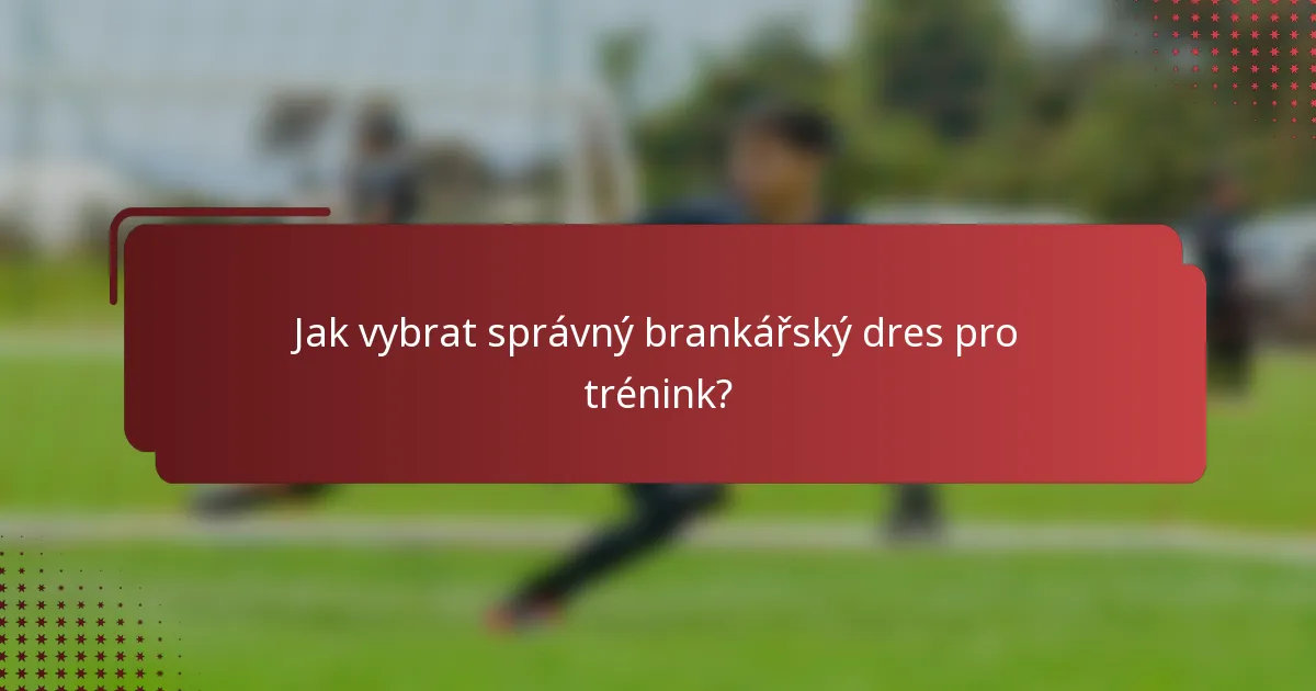 Jak vybrat správný brankářský dres pro trénink?