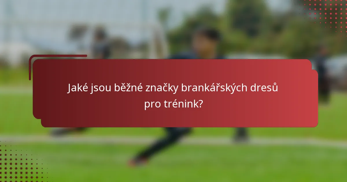 Jaké jsou běžné značky brankářských dresů pro trénink?
