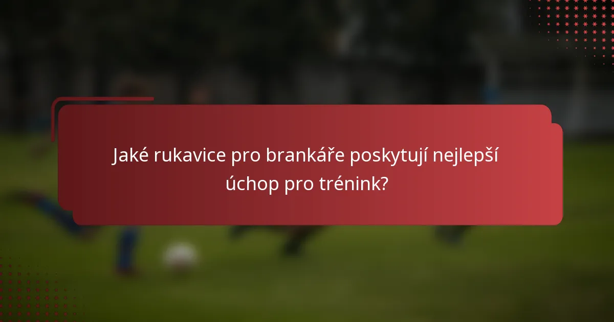 Jaké rukavice pro brankáře poskytují nejlepší úchop pro trénink?