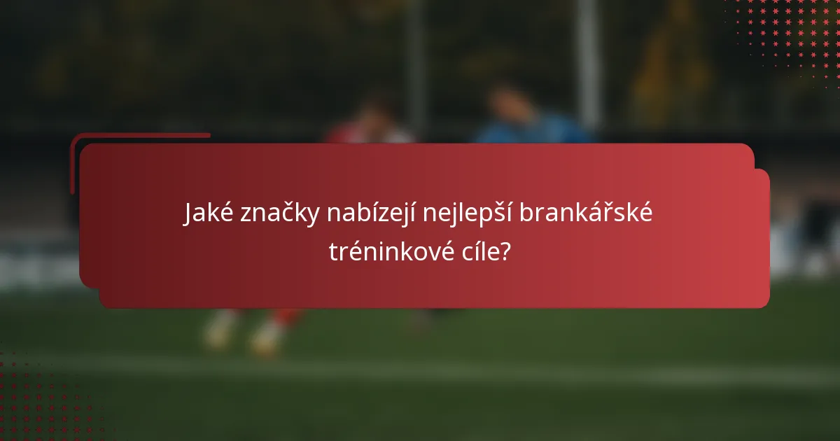 Jaké značky nabízejí nejlepší brankářské tréninkové cíle?