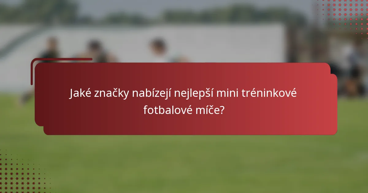 Jaké značky nabízejí nejlepší mini tréninkové fotbalové míče?